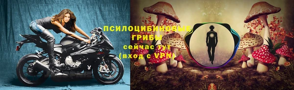 мдпв Касимов