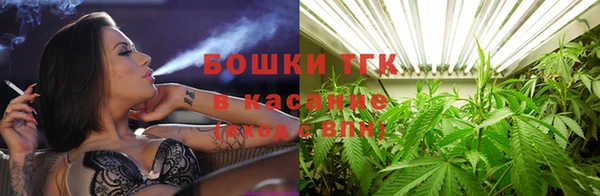 ECSTASY Каменка