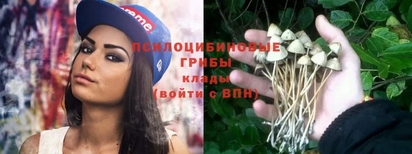 наркотики Каменногорск